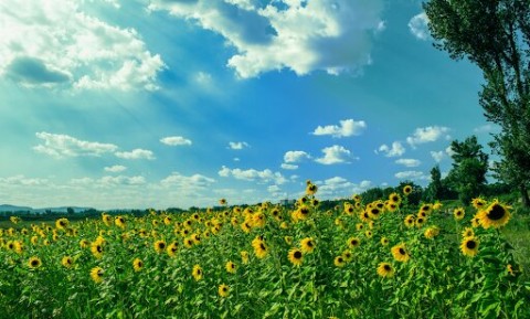 Summer Wellness Tips for New Doctors in Canada