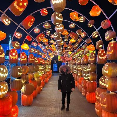 Halloween Festilumi Light Festival Montreal