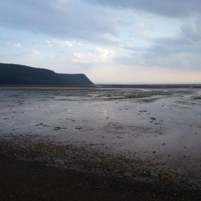 Low Tide Mudflats