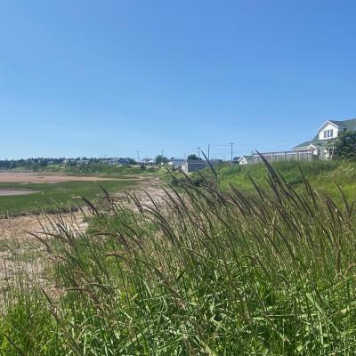 Pei Red Sand Dunes